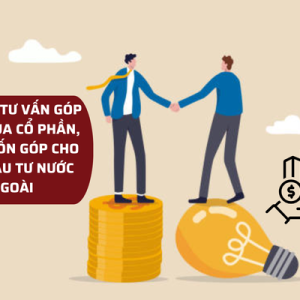 DỊCH VỤ TƯ VẤN GÓP VỐN, MUA CỔ PHẦN, PHẦN VỐN GÓP CHO NHÀ ĐẦU TƯ NƯỚC NGOÀI