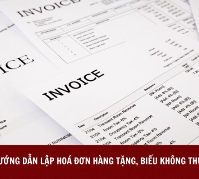 HƯỚNG DẪN LẬP HOÁ ĐƠN HÀNG TẶNG, BIẾU KHÔNG THU TIỀN