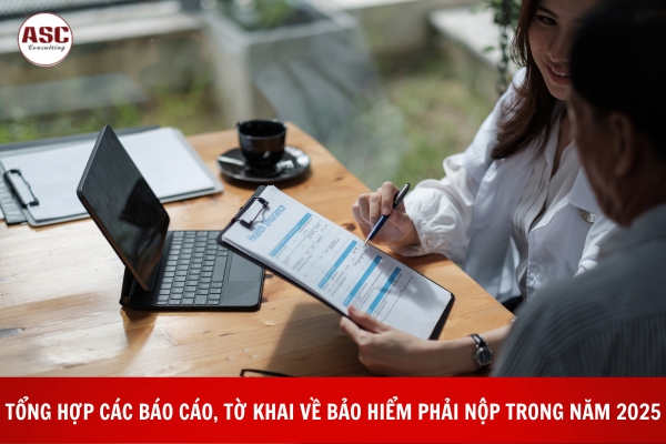 Tổng hợp các báo cáo, tờ khai phải nộp về bảo hiểm xã hội